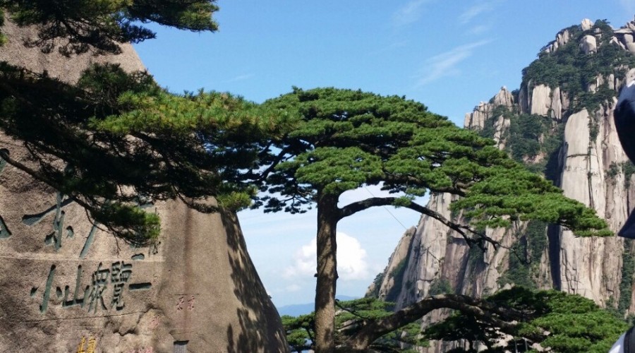 圖片關(guān)鍵詞