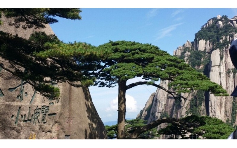 【景區(qū)IP網(wǎng)絡廣播】解決方案