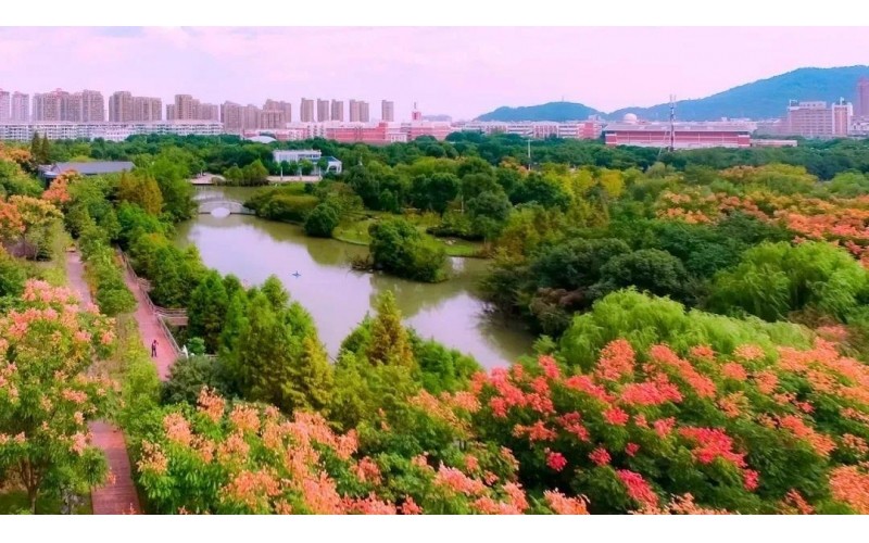 【公園景區(qū)IP網(wǎng)絡廣播】系統(tǒng)解決方案